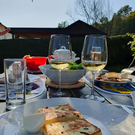 Oasis Anica Apartma Podcetrtek