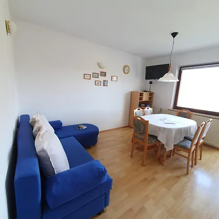 Oasis Anica *