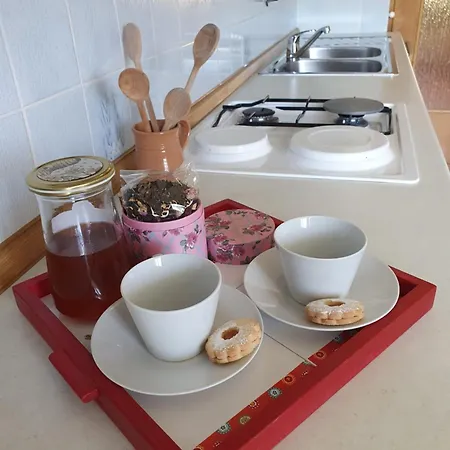 Oasis Anica Apartma Podcetrtek