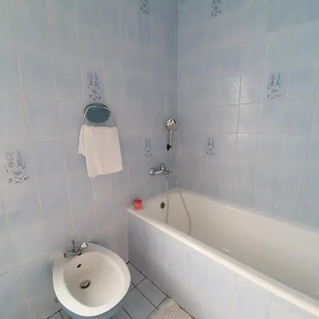Oasis Anica *