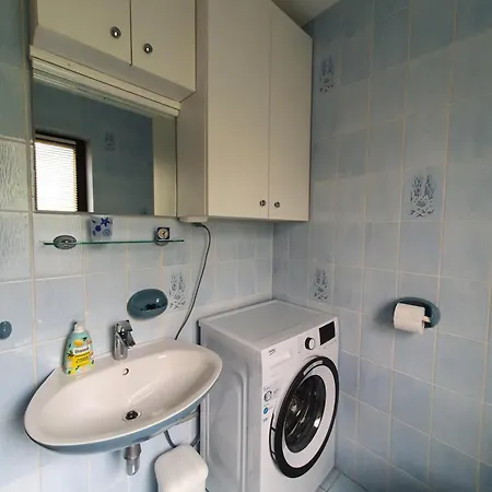 Oasis Anica