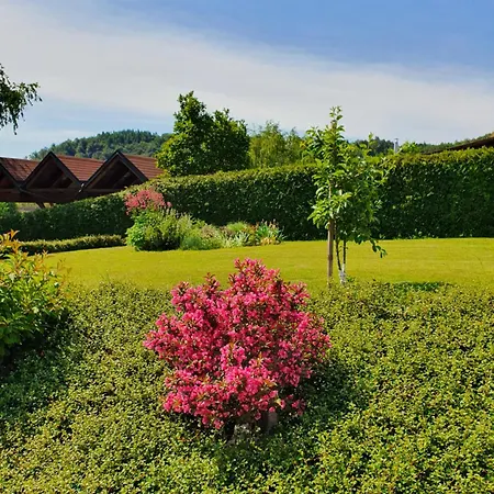 Oasis Anica Apartma *