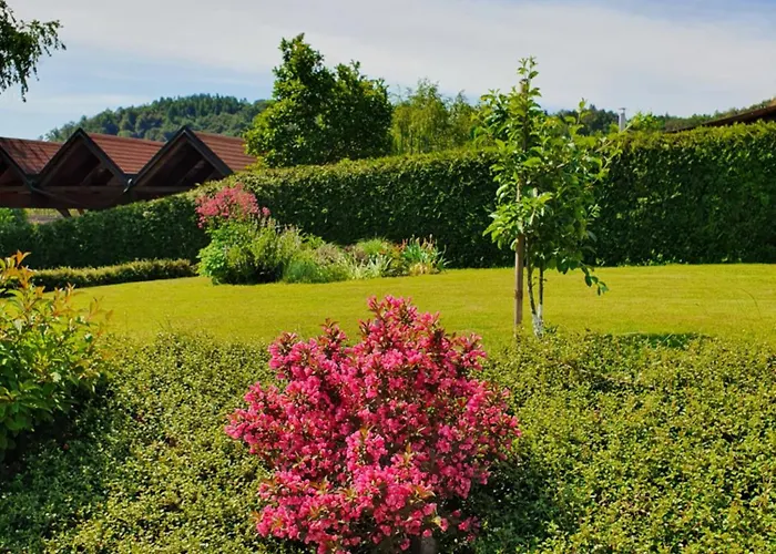 Oasis Anica Apartament *